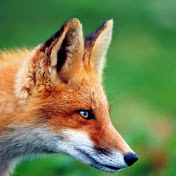 Profile Picture of Jimmy Chauvette (@chauvette58) on Youtube