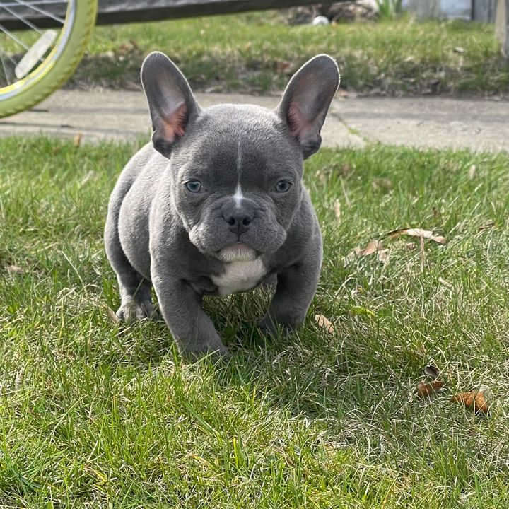 Profile Picture of edwardwestbrook76 (@edwardwestbrook76) on Tiktok