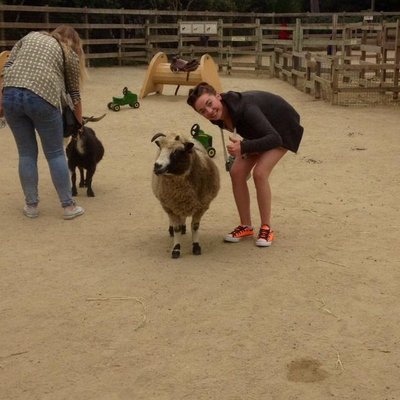 Profile Picture of Dee Cahill (@Deesgusting) on Twitter