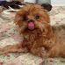 Profile Picture of Buddy Burrell (@buddy.burrell) on Facebook