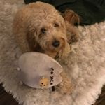 Profile Picture of Margaret Belconis (@margaretbelconis) on Instagram