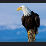Profile Picture of Alexander Sugeng (@alexander.sugeng.2025) on Facebook