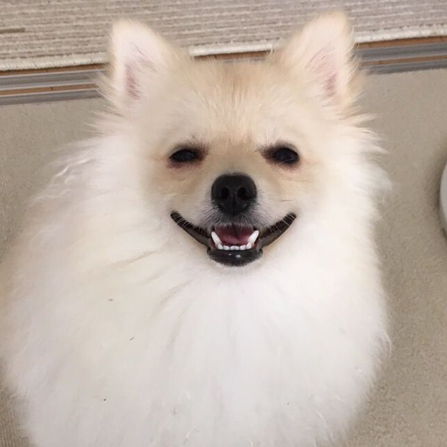 Profile Picture of Haroldbass (@harold5151) on Tiktok