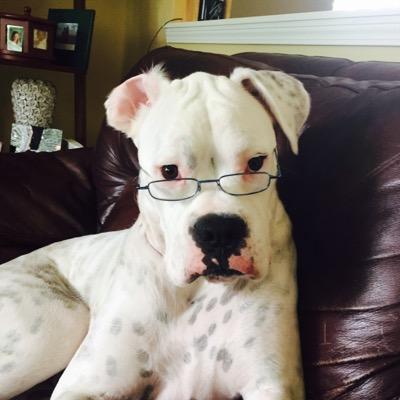 Profile Picture of Nick Biebel (@CaperYT) on Twitter