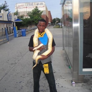 Profile Picture of Jay Walcott (@bajanking142) on Myspace