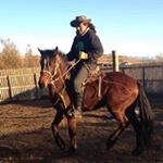 Profile Picture of Alejandro Rocha (@alejandro.rocha.3597) on Instagram