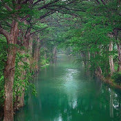 Profile Picture of Yasmin Sharaf (@yasminsharaf7982) on Youtube