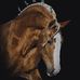 Profile Picture of Ernest Yoder (@ernest.yoder.9) on Facebook