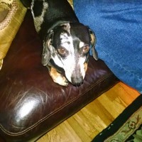 Profile Picture of Carl Siciliano (@carl-siciliano) on Quora