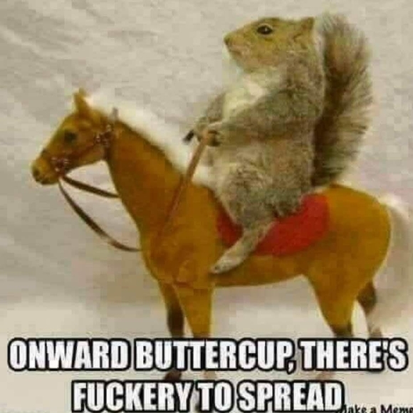 Profile Picture of Gregory Gorajewski (@greghrt78) on Poshmark