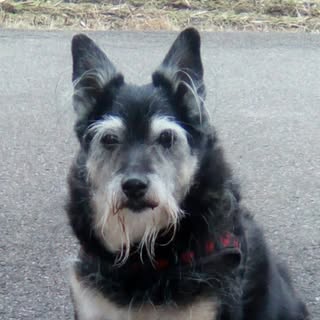 Heidi Weidmann - Instagram Profile Picture of Heidi Weidmann (@weidmannheidi) on Instagram