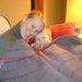Profile Picture of Kristin Thomas (@riestererk) on Pinterest