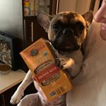 Profile Picture of Katlyn (@shapiro.lucy) on Instagram