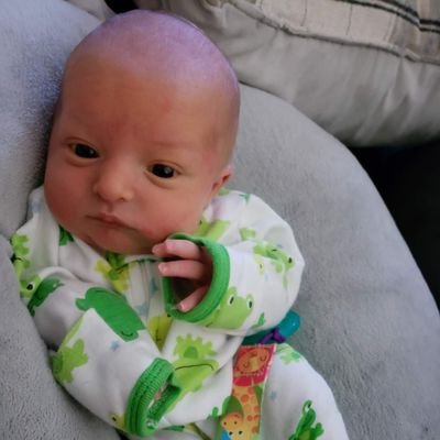 Profile Picture of Alex DiMarco Jr (@Addjr1) on Twitter