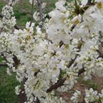 Profile Picture of sam gunash (@saleh.akhavan1989) on Instagram