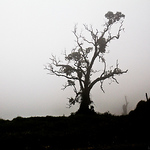 Profile Picture of Luis Carlos Loaiza (@Luis Carlos Loaiza) on Flickr