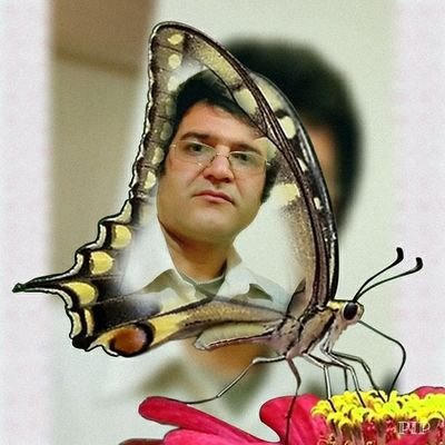 Ahmad Alizadeh - Twitter Profile Picture of Ahmad Alizadeh (@ahmadzebel54) on Twitter