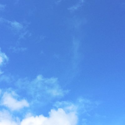 Profile Picture of Natasha Connor (@Natasha_Connor1) on Twitter