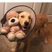 Profile Picture of Isabelle Fisher (@isabelle.fisher.58367) on Facebook