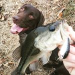 Cory Terry - Instagram Profile Picture of Cory Terry (@rippinlips82) on Instagram