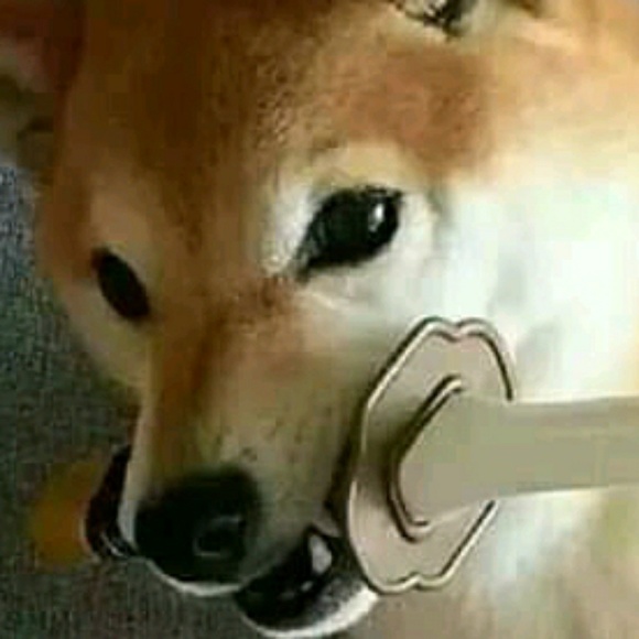 Profile Picture of Dominic Palmer (@aqua_buffall) on Poshmark