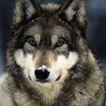 Profile Picture of Alex Miele (@miele.alex) on Instagram