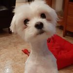 Profile Picture of Juan Pedro Trigueros Fuentes (@juanpedrotriguerosfuentes) on Instagram