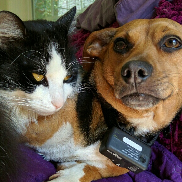 Profile Picture of Monica Balwinski (@missaunti) on Poshmark