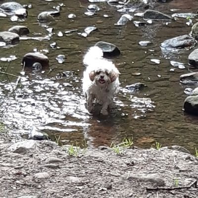 Profile Picture of Mel Sutherland (@MelSuth23) on Twitter