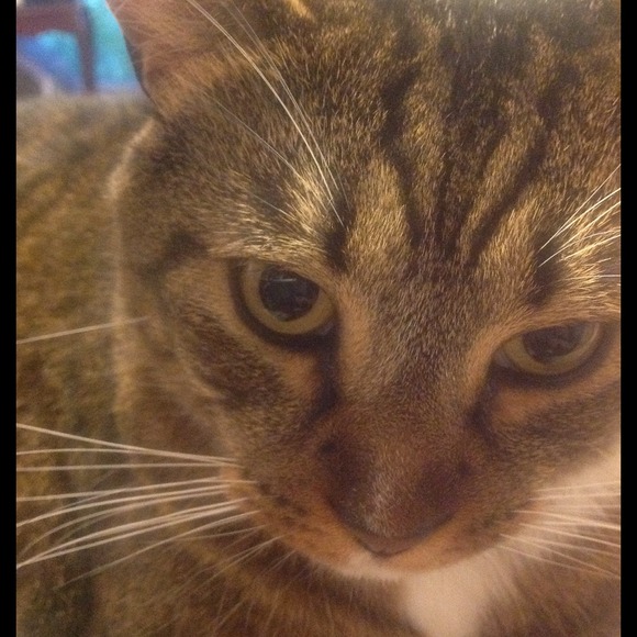 Profile Picture of Alisha Miles (@alisha764) on Poshmark