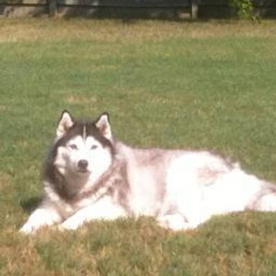 Profile Picture of Ed Osiecki (@eosiecki) on Twitter