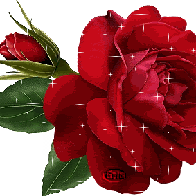 Claudia Irigoyen - Twitter Profile Picture of Claudia Irigoyen (@Claudiaajtm) on Twitter