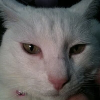 Profile Picture of CarlaScruggs (@carla_scruggs) on Twitter