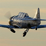 Profile Picture of linda m bell (@linda m bell) on Flickr