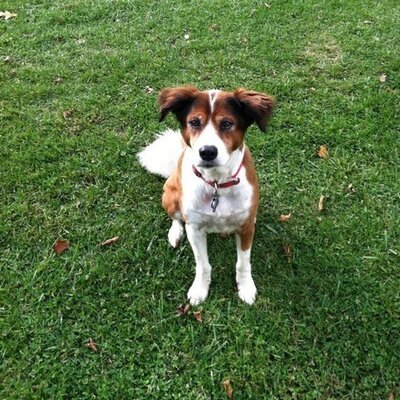 Profile Picture of Andrew Ketner (@Andrew_K75) on Twitter