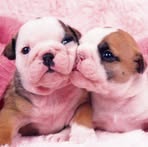 Profile Picture of Amanda Broadenax (@amanda.broadenax) on Facebook