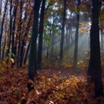 Profile Picture of YURKO (@87kyyurkoditom) on Instagram