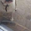 Profile Picture of cassandraopiersona (@@cassandraopierson) on Tiktok