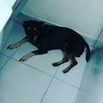 Profile Picture of Milan Daniel  Cupido rivera (@milan_rivera4) on Instagram