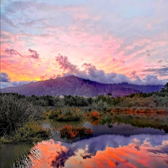 Profile Picture of Tyler Root (@ty6639) on Poshmark