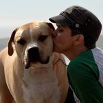 Profile Picture of Lori Thaler (@lorithaler) on Instagram