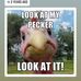 Profile Picture of Jeremy Hollenback (@jeremy.hollenback.90) on Facebook