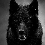 Profile Picture of Jayson Bryant™ (@jay_rockie12) on Instagram