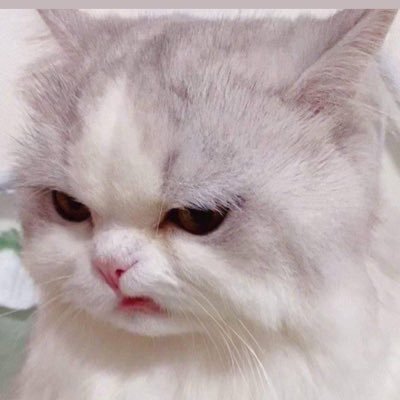 Profile Picture of Grace Chong (@GraceCh40908907) on Twitter