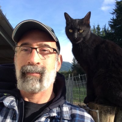 Profile Picture of David Capocci (@DavidCapocci1) on Twitter