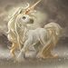 Profile Picture of Sherrin Biggs (@tobybiggs) on Pinterest