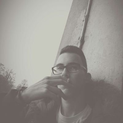 Profile Picture of Danilo Curlik (@CurlikDanilo) on Twitter