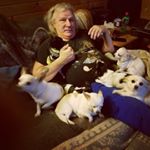 Profile Picture of Dennis Bopp (@dennis_bopp) on Instagram