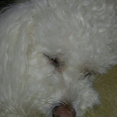 Profile Picture of Bob Johns (@4PuttBogey) on Twitter