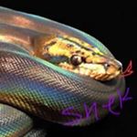 Profile Picture of Veronica Jacobsen (@__veronica__________) on Instagram